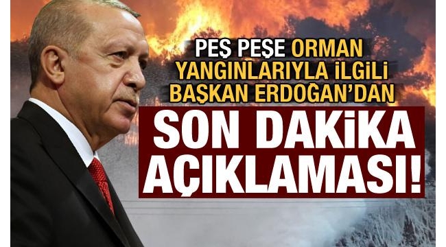 Son dakika: Başkan Erdoğan orman yangınlarıyla ilgili bölgedeki bakanlardan bilgi aldı 