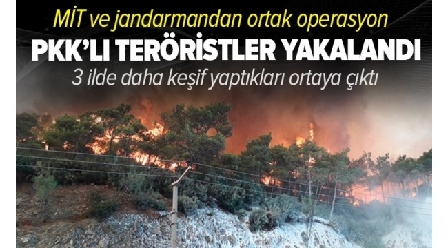 MİT ve jandarmadan kritik operasyon! Orman yangını çıkarmak için gelen PYD/PKK'lı 2 terörist yakalandı 