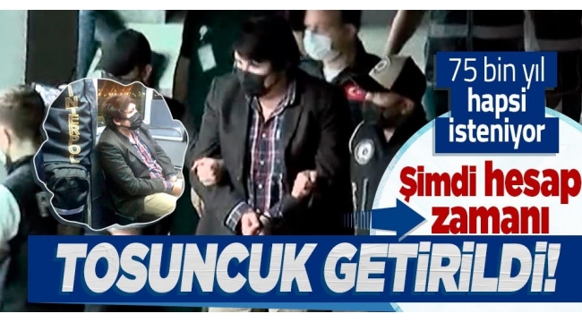 Son dakika: 'Tosuncuk' Türkiye'de: İstanbul'a getirildi! 