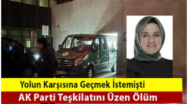 AK Parti'yi yasa boğan kaza! İstanbul Kadın Kolları Başkan Yardımcısı Fatma Sevim Baltacı hayatını kaybetti